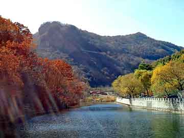 管家婆黑白马报图库，花钱价格